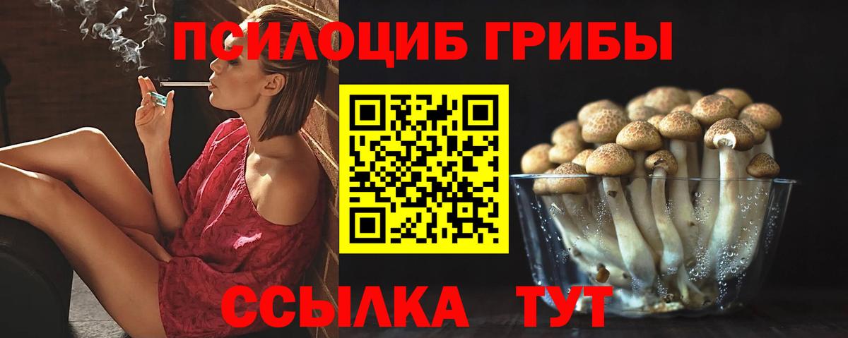 Псилоцибиновые грибы прущие грибы  Галлюциногенные грибы ЛСД  магазин продажи наркотиков  Горячий Ключ  Вход с VPN 
